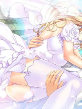 [CandySoft] あねよめコンチェルト Wedding Memories 初回版_HG022400