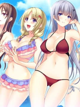 [CandySoft] あねよめコンチェルト Wedding Memories 初回版_HG060900