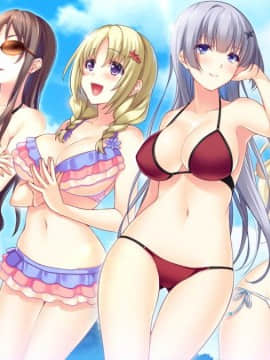 [CandySoft] あねよめコンチェルト Wedding Memories 初回版_HG060901