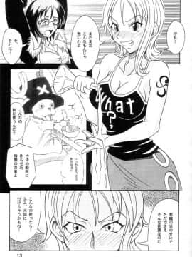 (C63) [真面目屋 (イサオ)] Don't Trust Anybody (ワンピース)_013