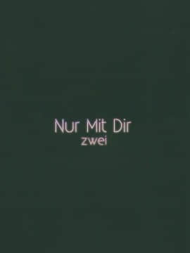 [NT个人汉化] (C96) [銀糖製菓 (玉砂糖)] Nur Mit Dir zwei (少女前線) [中国翻訳]_010