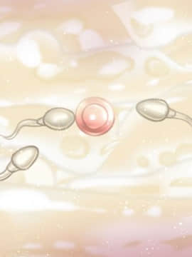 [オトギ堂] 少女異種姦獄 ～魔に恋する魔法少女～_818_140_240