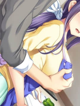 (ゲームCG) [ANIM Mother&Wife] いつまでも僕だけのママのままでいて! ～ああ、良いよママ!もっともっとしゃぶらせて!!デリバリーママがストライクゾーン過ぎて僕の股間はもう限界!!!_033_HA006c