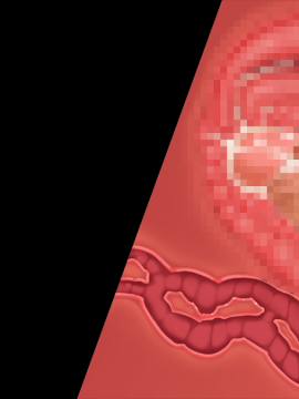 [裸足少女] 新妻環 ～環の愛妻日記+ハーレムENDのそれから～_TH01Z01