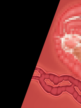 [裸足少女] 新妻環 ～環の愛妻日記+ハーレムENDのそれから～_TH01Z02