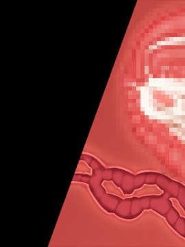 [裸足少女] 新妻環 ～環の愛妻日記+ハーレムENDのそれから～_TH01Z05