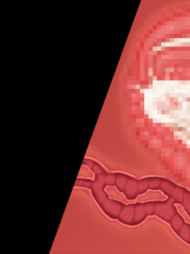 [裸足少女] 新妻環 ～環の愛妻日記+ハーレムENDのそれから～_TH02Z02