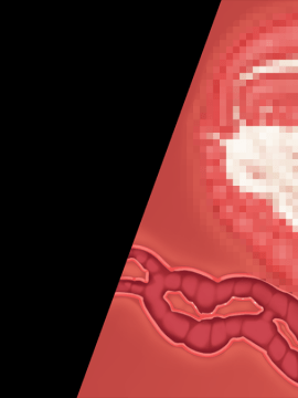 [裸足少女] 新妻環 ～環の愛妻日記+ハーレムENDのそれから～_TH02Z04