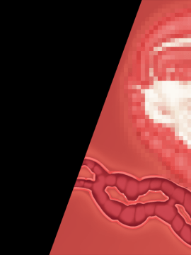 [裸足少女] 新妻環 ～環の愛妻日記+ハーレムENDのそれから～_TH02Z05