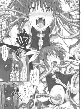 (C96) [サイクロン (冷泉、和泉)] T-33 S+ (魔法少女リリカルなのは)_018