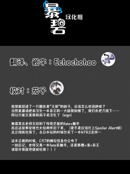 [暴碧汉化组] (C96) [RUBBISH選別隊 (無望菜志)] RE29 (Fate/Grand Order)_35