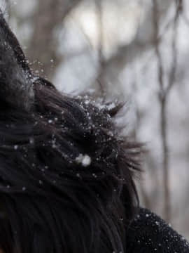 [nonsummerjack] Timber wolf_027