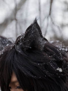 [nonsummerjack] Timber wolf_028