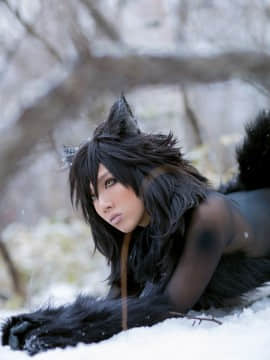 [nonsummerjack] Timber wolf_047
