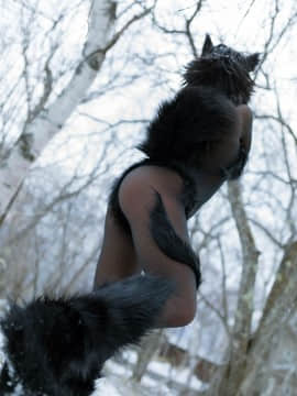 [nonsummerjack] Timber wolf_129