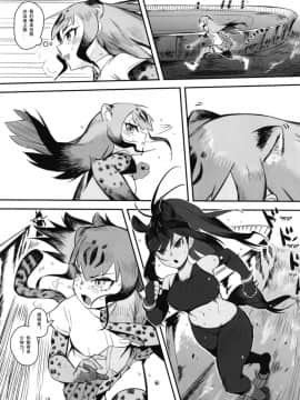 [ベイコン (米獣)] サラブレットアーリーデイズ2 (けものフレンズ) [兽娘科普馆] [Digital]_05