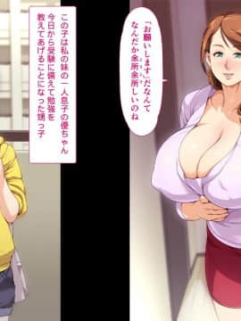 [ちぶぷる] 伯母さんとボクのHなお勉強_0009