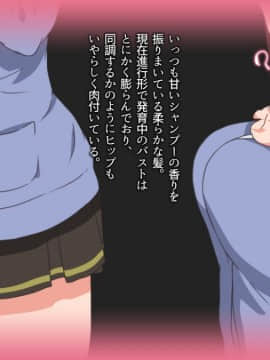 (同人CG集) [Satyrion] 清楚な義妹の裏の顔_005_st11ts0104