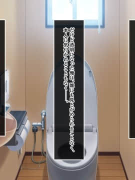 (同人CG集) [あまい惑星] 淫ビジブル! ～いい女を見つけては、手当たり次第にヤッてみる～_027_text_26