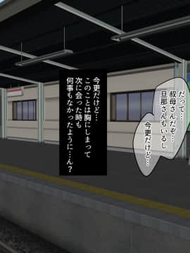 [砂糖と塩] 叔母さんと僕の秘密の夏休み_125