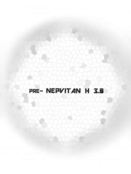 [新桥月白日语社](C84) [ゆう部屋 (yuu)] PRE-NEPVITAN H 3.0 (超次元ゲイム ネプテューヌ)_img032