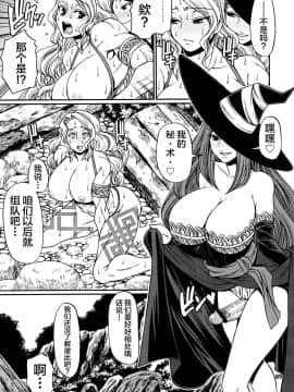 [新桥月白日语社] (C80) [CELLULOID-ACME (チバトシロウ)] PARTY HARD (ドラゴンズクラウン)_Party_Hard_009