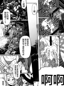 [新桥月白日语社] (C80) [CELLULOID-ACME (チバトシロウ)] PARTY HARD (ドラゴンズクラウン)_Party_Hard_023