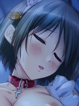 [スナック・ファクトリー] ママ隷奴 vol.1 咲枝ママ編 ～恋をしたのは親友のママでした～_ev018dx