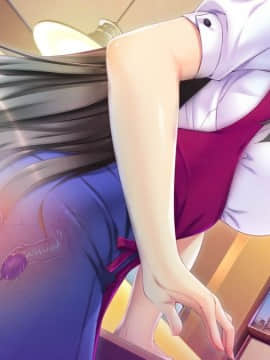 [スナック・ファクトリー] ママ隷奴 vol.3 智美ママ編 ～ウソつきはママのはじまり～_ev312f