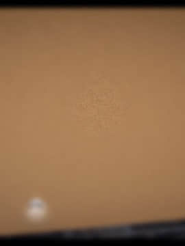[3D]局 1-5_0368