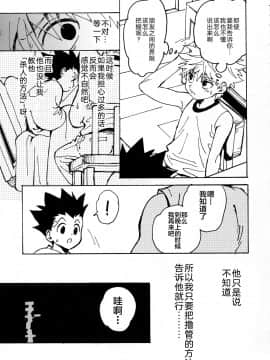 [新桥月白日语社] (C93) [わたがしメーカー (とみこ)] 若気の至り (ハンター×ハンター)_013
