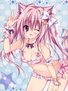 [脸肿汉化组] (C88) [LOOPTHELOOP! (へるるん)] Cat on the Beach_003