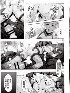 [沒有漢化] (C91) [AZASUKE WIND (AZASUKE)] BOSOM BUDDY (グランブルーファンタジー)_25