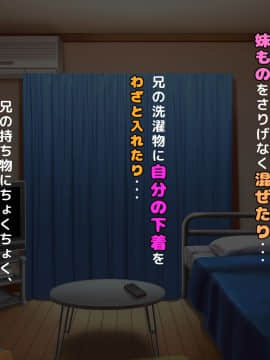 (同人CG集) [沖縄ちんこすう] どスケベひきこもりニートでブラコンな妹 ～お兄ちゃんと恋人になる大作戦_A_116