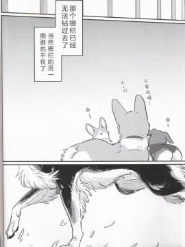 (関西!けもケット7) [回転ParaDOGs (奈賀つくね)] 嘘つきたちの『 』 [中国翻訳]_06