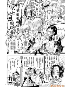 [不咕鳥漢化組] [アルセノテリス (Rebis, 沈冇)] 亂れ咲き海賊女帝 (ワンピース)_00014
