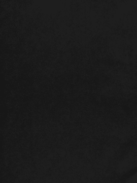 [逃亡者x新桥月白日语社汉化] [Decensored] (C85) [AHOBAKA (Aho)] 愛する牝馬が種付けされて [中国翻訳] [無修正]_35_img034
