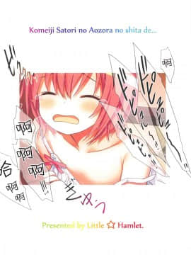 [脸肿汉化组] (C92) [りとる☆はむれっと (きぃら～☆)] 古明地さとりの青空の下で…。 (東方Project)_29