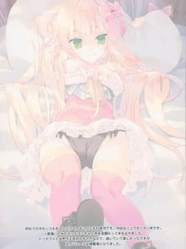 [脸肿汉化组] (C96) [ActiveMover (有河サトル)] SecretGarden+ (フラワーナイトガール)_003