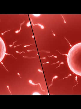 (同人CG集) [大宮 司] あなたを癒す極上マ●コたち ～いつでも誰でも甘え放題!中出し放題_606_200