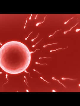 (同人CG集) [大宮 司] あなたを癒す極上マ●コたち ～いつでも誰でも甘え放題!中出し放題_704_298