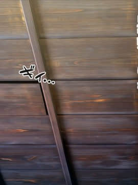 屋根裏DVD ～中出し専用人妻物件 入居者募集中～_0030_Scene0_028