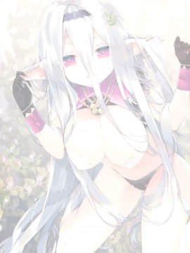 [脸肿汉化组] (C97) [ActiveMover (有河サトル)] Secret Garden + II (フラワーナイトガール)_002