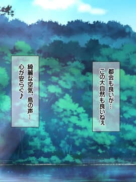 (同人CG集) [龍骨山] 最強の孕ませ許可証 とある田舎の婚前交渉禁止令を町中の女に種付けしてぶっ壊す_0035