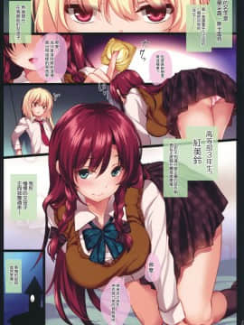 [瑞树汉化组] (C91) [MONEけしごむ (もねてぃ)] めーりんお姉ちゃんとフランくん♂の学園性活 | 美鈴姐姐與芙蘭君♂的學園性活 (東方Project)_02