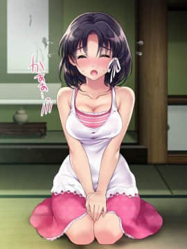 (同人CG集) [いくら艦隊 (ねむのや)] 嫁付き一戸建て_011_03