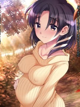 (同人CG集) [いくら艦隊 (ねむのや)] 嫁付き一戸建て_041_02