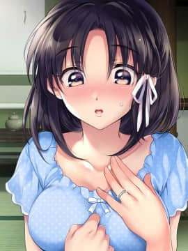 (同人CG集) [いくら艦隊 (ねむのや)] 嫁付き一戸建て_b019_04