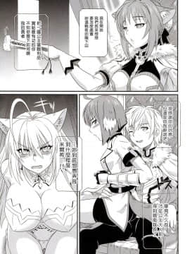 [塔布里斯個人漢化] (C89) [CAZA MAYOR (つつみあかり)] けものの姫 (Dog Days)_05