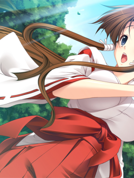 (18禁ゲームCG) [090807] [黒雛] 姉妹巫女～恥辱の緊縛卍責め～_003_bg500